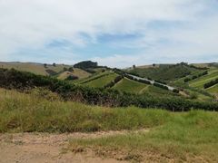 -怀希基岛
