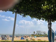 -碧海金沙