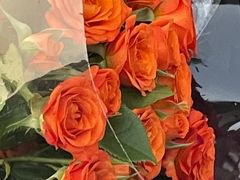 -盒马鲜生(亲橙里店)