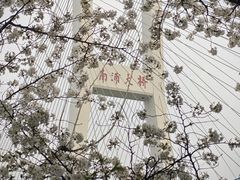 -南浦大桥长途旅游客运站