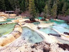 -黄龙山原始森林景区