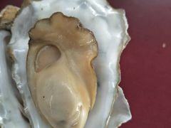 -鼓歌海鲜舫·手抓海鲜(大学城店)