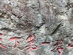 -王顺山国家森林公园