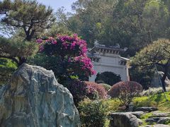 -顺峰山公园