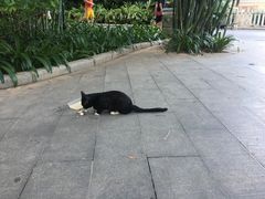 -晓港公园
