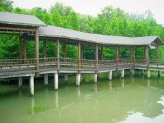 -溱湖国家湿地公园