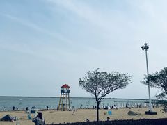 -碧海金沙