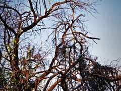 -周口店坡峰岭风景区