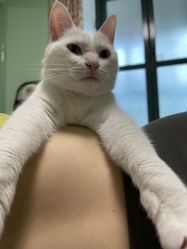 -齐伽生活馆·瑜伽·普拉提·阿育吠陀