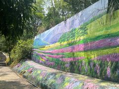 -广州白江湖森林公园