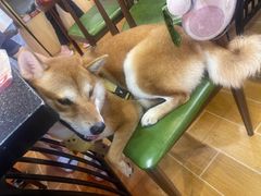 -老何太太鹤岗小串·团建聚餐(龙华店)