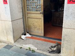-长春观
