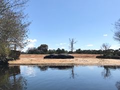 -威勒比开放式动物园