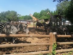 -大连森林动物园