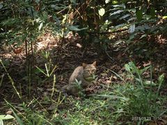 -火炉山森林公园