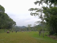 -田心森林公园