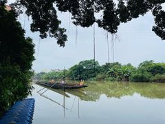 -小洲村