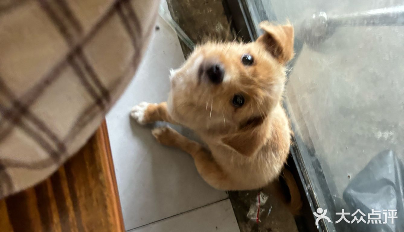 是冒雨也会去吃的！