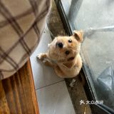 是冒雨也会去吃的！