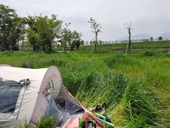 -五甲塘生态湿地公园