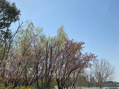 -济南国际园博园