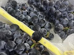 -大鹏佳兆业广场