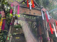 -西双版纳原始森林公园