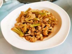 -圆苑(金茂店)