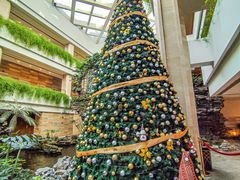 -广州白天鹅宾馆