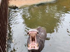 -海南热带野生动植物园