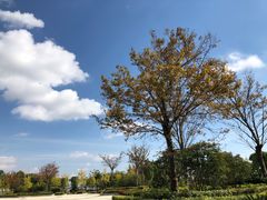 -上海滴水湖皇冠假日酒店