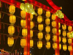 -武汉园博园(武汉自然博物馆)