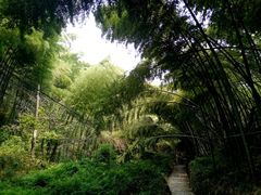 -会稽山峡洞漂流-上青古道