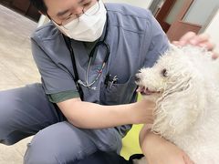 -美联众合动物医院·24h转诊中心