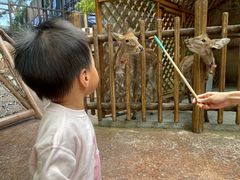 -杭州开元森泊度假乐园