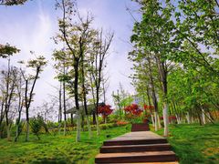 -天鹅湖体育公园