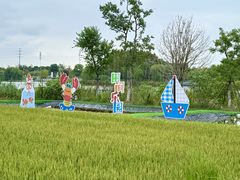 -杭州湾海上花田景区