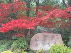 -杭州半山国家森林公园