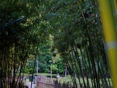 -新虹桥中心花园