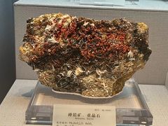 -湖南省地质博物馆