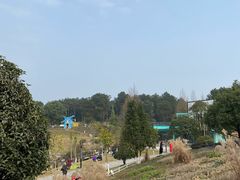 -铁山坪森林公园