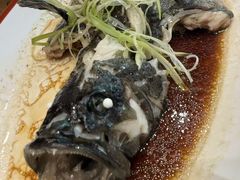 -麒麟中餐厅·经典粤菜·地道菜式老字号(广州长隆酒店)