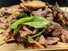 -杨小佳·齐齐哈尔烤肉·烤串(广州店)