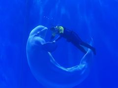 -多彩贵州城极地海洋世界