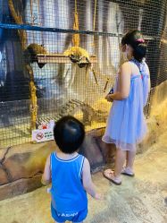 -酷嗒动物文化乐园(cutezoo西溪乐天城店)