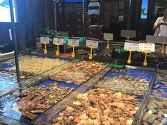 -船歌·鱼水饺青岛菜(闽江二路店)