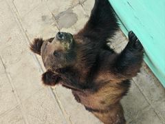 -西霞口神雕山野生动物世界