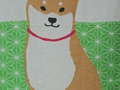 -柴迷FANS CLUB·柴犬狗咖·猫咖