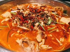 -宽口美蛙鱼头(大唐西市店)