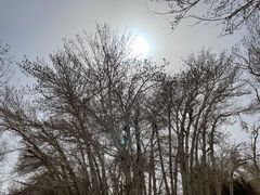 -敦煌石窟文物保护研究陈列中心